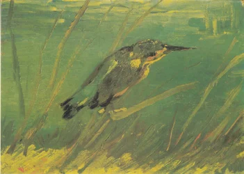 Martin-pêcheur
